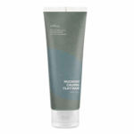 Isntree Real Mugwort Clay Mask, 100 ml
